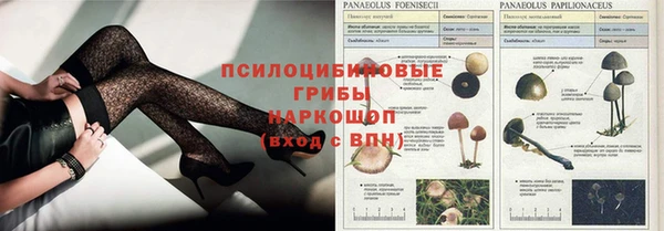 прущие крисы Балахна