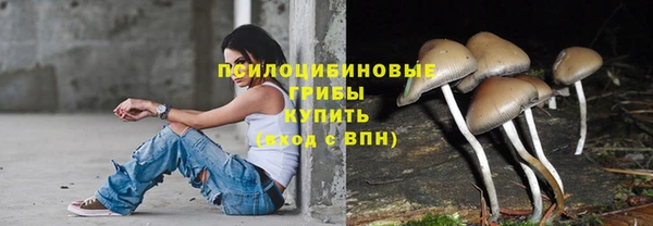 молекула духа Баксан