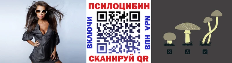 Галлюциногенные грибы мухоморы  где купить наркотик  Переславль-Залесский 